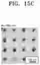 Fig. 12 - See-through thin film solar cell module and method of manufacturing the same