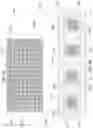 Fig. 07 - Laterally heterogenous wavelength-converting layer