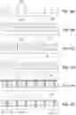 Fig. 12 - Laterally heterogenous wavelength-converting layer