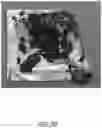Fig. 19 - Electrodes, electrochemical cells, and methods of forming electrodes and electrochemical cells