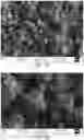 Fig. 04 - Silicon particles for battery electrodes