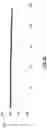 Fig. 13 - THICK ELECTRODES FOR ELECTROCHEMICAL CELLS