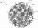 Fig. 01 - Scaffolding matrix with internal nanoparticles