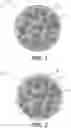 Fig. 02 - Scaffolding matrix with internal nanoparticles