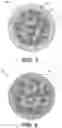 Fig. 03 - Scaffolding matrix with internal nanoparticles