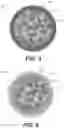 Fig. 04 - Scaffolding matrix with internal nanoparticles