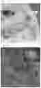 Fig. 07 - CATHODE ACTIVE MATERIAL FOR LITHIUM SECONDARY BATTERY AND METHOD OF MANUFACTURING THE SAME