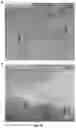 Fig. 22 - Polymer-inorganic solid-electrolyte interphase for stable metal batteries under lean electrolyte conditions