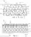 Fig. 03 - Electrode having an interphase structure