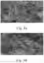 Fig. 05 - SOLID OXIDE FUEL CELL WITH SCANDIUM-MODIFIED NICKEL FELT ANODE COLLECTOR