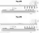 Fig. 16 - Antenna device and communication device