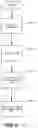 Fig. 08 - Optimized multi gain LNA enabling low current and high linearity including highly linear active bypass