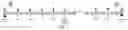 Fig. 02 - Two-way wireless relay transmission method suitable for multiple relay nodes