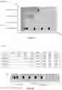 Fig. 22 - User equipments, base stations, and methods
