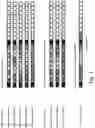 Fig. 02 - DATA SIGNALING FOR WIRELESS COMMUNICATION NETWORK