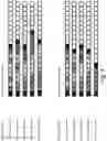 Fig. 03 - DATA SIGNALING FOR WIRELESS COMMUNICATION NETWORK