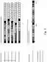 Fig. 04 - DATA SIGNALING FOR WIRELESS COMMUNICATION NETWORK