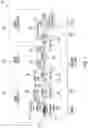 Fig. 02 - Redundant multicast trees without duplication and with fast recovery