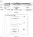 Fig. 06 - Route processing method, device, and system