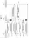 Fig. 04 - METHOD AND APPARATUS FOR TRANSMITTING AND RECEIVING IMAGE IN PLENOPTIC SYSTEM