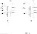 Fig. 04 - Image signal representing a scene
