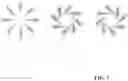 Fig. 08 - Image signal representing a scene