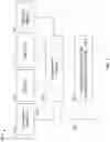 Fig. 02 - Multiscreen experience for parallel playback of time shifted live stream content