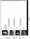 Fig. 15 - STREAM PRODUCER FILTER VIDEO COMPOSITING