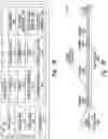 Fig. 13 - Wireless transmission to satellites for multichannel audio system