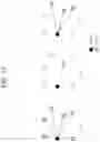 Fig. 12 - Method and apparatus for transmitting SCI in NR V2X groupcast communication