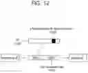 Fig. 13 - Method and apparatus for transmitting SCI in NR V2X groupcast communication