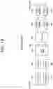 Fig. 19 - Method and apparatus for transmitting SCI in NR V2X groupcast communication