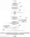 Fig. 15 - Apparatus, system, method and computer-readable medium for performing control to handle inter-UE prioritization for NR V2X