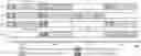 Fig. 01 - USER TERMINAL AND RADIO COMMUNICATION METHOD