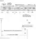 Fig. 06 - Method for transmitting and receiving physical downlink shared channel in wireless communication system, and device therefor