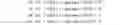 Fig. 02 - Backoff management for intra-queue priority transmission in communication networks