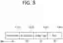 Fig. 09 - Method and apparatus for receiving important update information on APs in transmission MLD in a wireless LAN system
