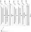 Fig. 18 - System and method for plasma discharge in liquid