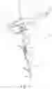 Fig. 02 - Airborne grapple saw system