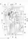 Fig. 13 - Method of operating a sealed system for an indoor garden center