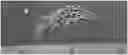 Fig. 01 - Higher-yielding proso
