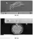 Fig. 02 - Higher-yielding proso