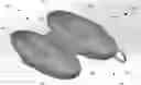 Fig. 01 - FISHING LURE PROTECTIVE CASE