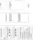Fig. 04 - Method for remediating developmentally delayed plants