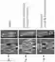 Fig. 03 - Method of Increasing Bone Cell Viability