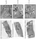 Fig. 04 - Method of Increasing Bone Cell Viability