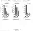 Fig. 04 - Antifungal Compositions