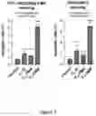 Fig. 06 - Antifungal Compositions
