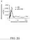 Fig. 07 - Enzyme-loaded pollen-mimicking microparticles for organophosphate detoxification of insect pollinators
