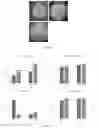 Fig. 04 - CHEESE AND YOGURT LIKE COMPOSITIONS AND RELATED METHODS